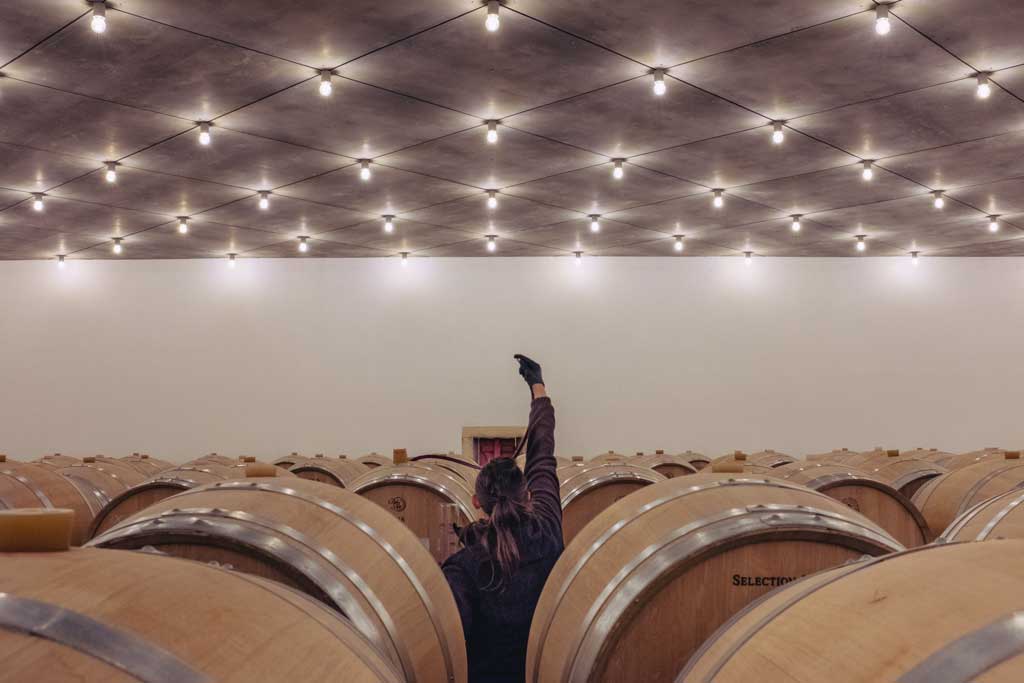 Fabre de Marien en la bodega del Château de Comensac.