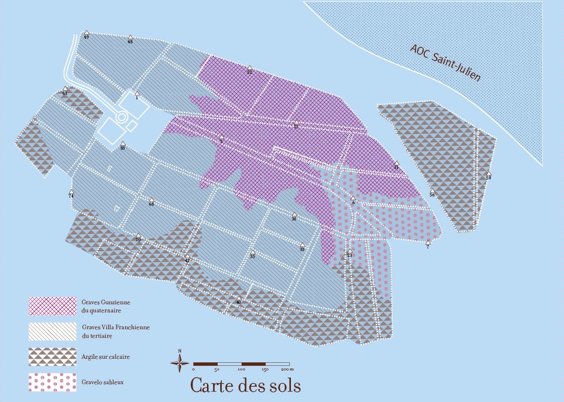 Carte des sols du Château de Camensac