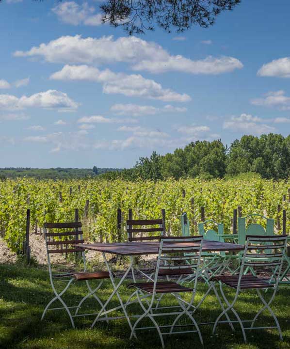 Table et chaises près des vignes du Château de Camensac pour un repas champêtre
