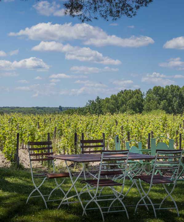 Table and chairs near the vines of Château de Camensac for a country meal